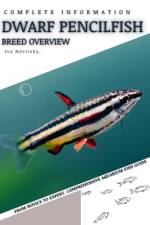 Dwarf Pencilfish af Iva Novitsky
