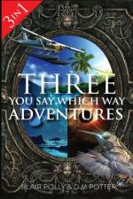 Three You Say Which Way Adventures af DM Potter