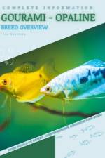 Gourami - Opaline af Iva Novitsky
