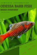 Odessa Barb Fish af Iva Novitsky