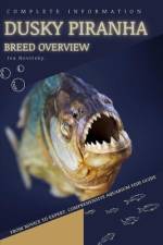 Dusky Piranha af Iva Novitsky