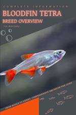 Bloodfin Tetra af Iva Novitsky