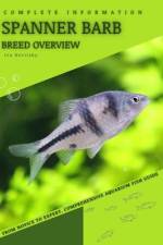 Spanner Barb af Iva Novitsky