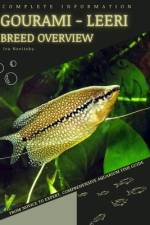 Gourami - Leeri af Iva Novitsky