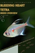 Bleeding Heart Tetra af Iva Novitsky