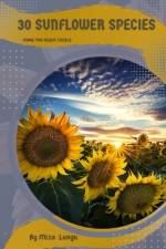 30 Sunflower species af Mixa Lungu
