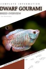 Dwarf Gourami af Iva Novitsky