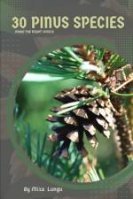 30 Pinus species af Mixa Lungu