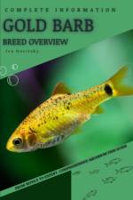 Gold Barb af Iva Novitsky