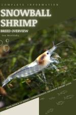 Snowball Shrimp af Iva Novitsky