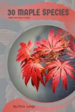 30 Maple species af Mixa Lungu