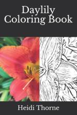 Daylily Coloring Book af Heidi Thorne