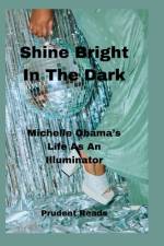 Shine Bright In The Dark af Prudent Reads