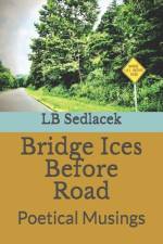 Bridge Ices Before Road af Lb Sedlacek