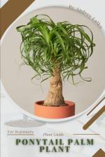 Ponytail Palm Plant af Andrey Lalko