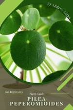 Pilea Peperomioides af Andrey Lalko