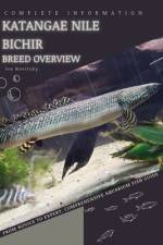 Katangae Nile Bichir af Iva Novitsky