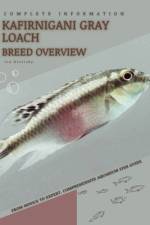 Kafirnigani Gray Loach af Iva Novitsky