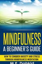 Mindfulness af M E Dahkid