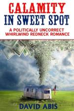 Calamity In Sweet Spot af David Abis