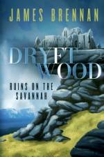 Dryftwood af James Brennan