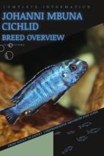 Johanni Mbuna Cichlid af Iva Novitsky