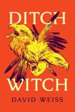 Ditch Witch af David Weiss