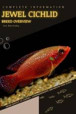 Jewel Cichlid af Iva Novitsky