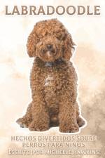 Labradoodle af Michelle Hawkins