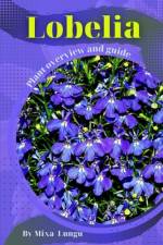 Lobelia af Mixa Lungu