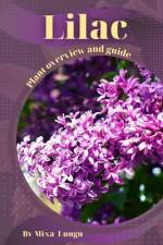 Lilac af Mixa Lungu