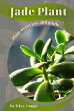Jade Plant af Mixa Lungu