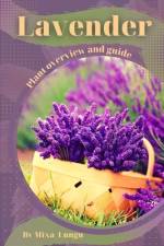 Lavender af Mixa Lungu