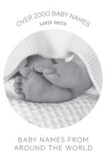 Baby Names from Around the World af Lanie Smith