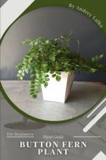 button fern plant af Andrey Lalko
