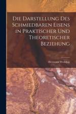 Die Darstellung Des Schmiedbaren Eisens in Praktischer Und Theoretischer Beziehung af Hermann Wedding