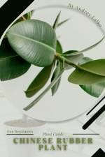 Chinese Rubber Plant af Andrey Lalko