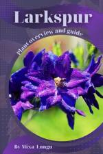 Larkspur af Mixa Lungu
