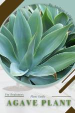 Agave Plant af Andrey Lalko