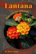 Lantana af Mixa Lungu