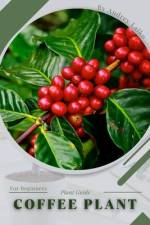 Coffee Plant af Andrey Lalko