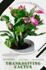 Thanksgiving cactus af Andrey Lalko