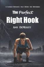 The Perfect Right Hook af Amy Demeritt