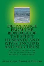 DELIVERANCE FROM THE BONDAGE OF THE SPIRIT HUSBANDS AND WIVES(INCUBUS and SUCCUBUS) af Augustine Ayodeji Origbo