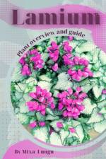 Lamium af Mixa Lungu