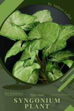 Syngonium Plant af Andrey Lalko