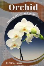 Orchid af Mixa Lungu