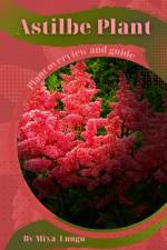 Astilbe Plant af Mixa Lungu