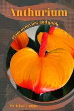 Anthurium af Mixa Lungu