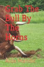 Grab The Bull By The Horns af Aida Mandic